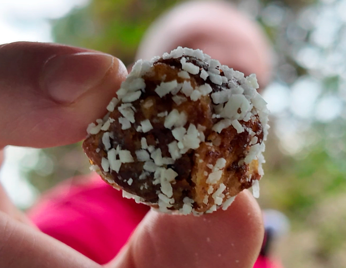 Dadel Balletjie (Date Ball) Recipe - Easy and Awesome!