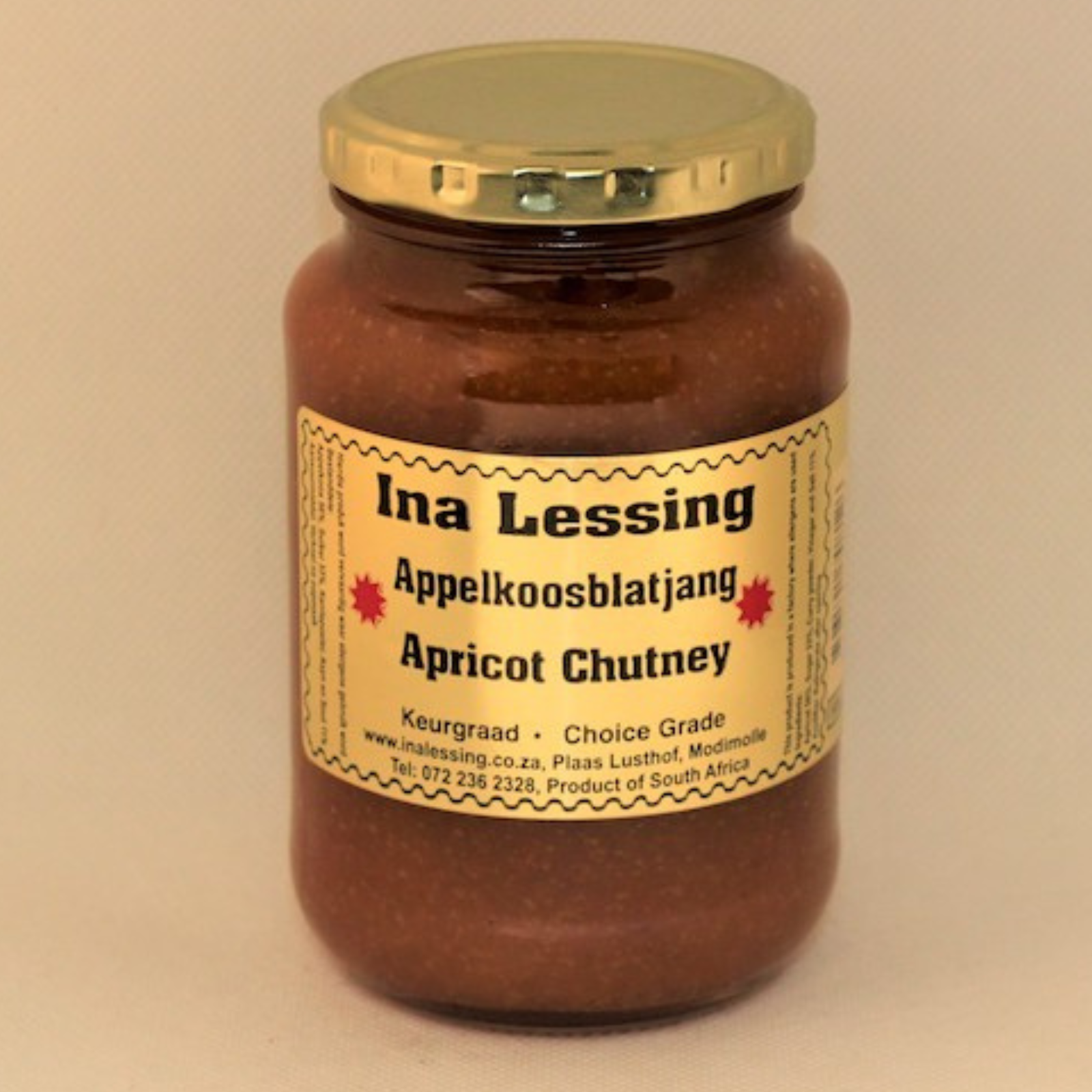 Buy Ina Lessing Apricot Chutney 500g in Canada – Sweet & Spicy South African Chutney