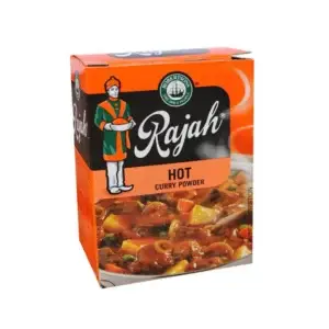 Buy Robertson's Rajah Hot Curry Powder 100g in Canada – Authentic South African Spice Blend
